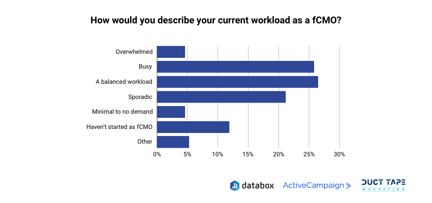 fractional cmo workload